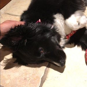 Meet your Posher, Nora